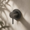 DEVIATORE-MURO-LEVANTE-CANNA-FUCILE-ambientata DEVIATORE MURO LEVANTE CANNA FUCILE Ambientata 100x100